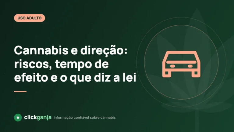 Cannabis e direção: riscos, tempo de efeito e o que diz a lei