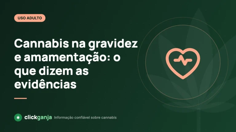 Cannabis na gravidez e amamentação: o que dizem as evidências