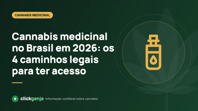 Cannabis medicinal no Brasil em 2026: os 4 caminhos legais para ter acesso