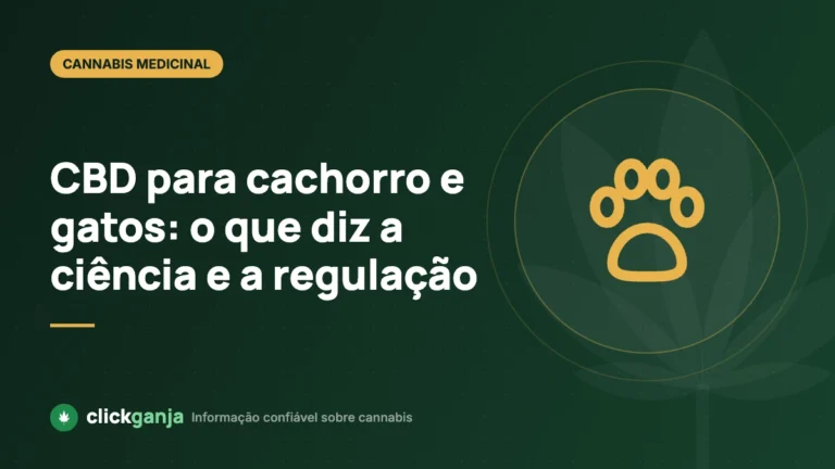 CBD para cachorro e gatos: o que diz a ciência e a regulação