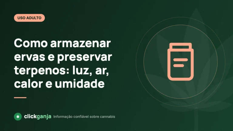 Como armazenar ervas e preservar terpenos: luz, ar, calor e umidade