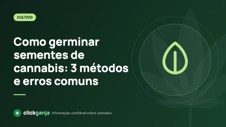 Como germinar sementes de cannabis: 3 métodos e erros comuns