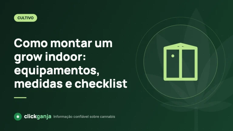 Como montar um grow indoor: equipamentos, medidas e checklist