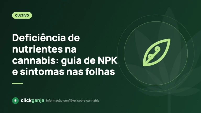 Deficiência de nutrientes na cannabis: guia de NPK e sintomas nas folhas