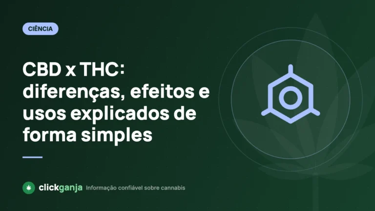 CBD x THC: diferenças, efeitos e usos explicados de forma simples