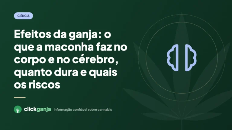 Efeitos da ganja: o que a maconha faz no corpo e no cérebro, quanto dura e quais os riscos