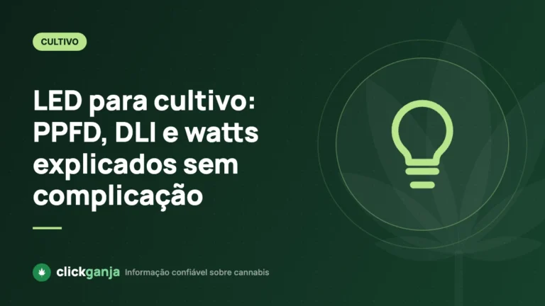 LED para cultivo: PPFD, DLI e watts explicados sem complicação