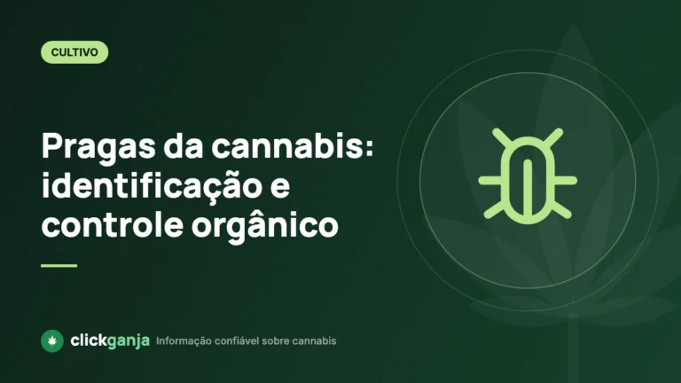 Pragas da cannabis: identificação e controle orgânico