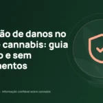 Redução de danos no uso de cannabis: guia prático e sem julgamentos