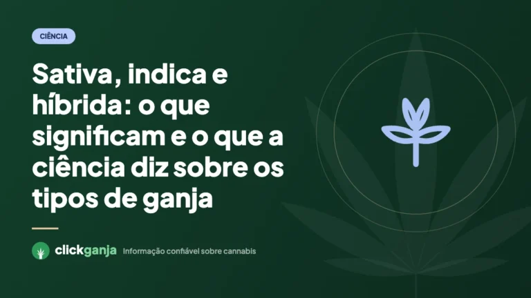 Sativa, indica e híbrida: o que significam e o que a ciência diz sobre os tipos de ganja