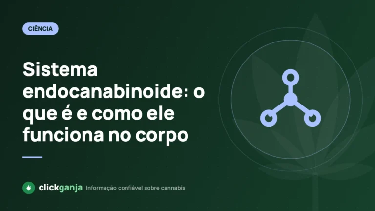 Sistema endocanabinoide: o que é e como ele funciona no corpo