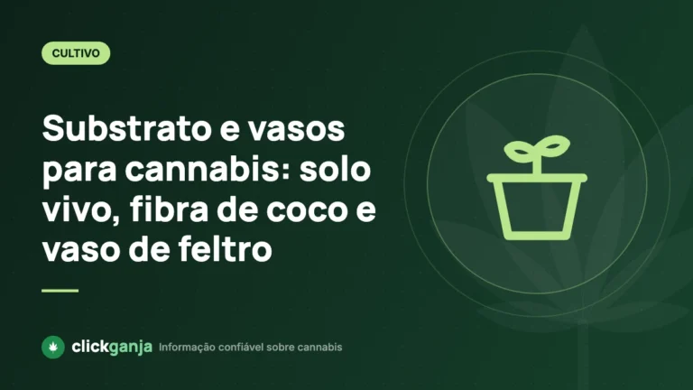Substrato e vasos para cannabis: solo vivo, fibra de coco e vaso de feltro
