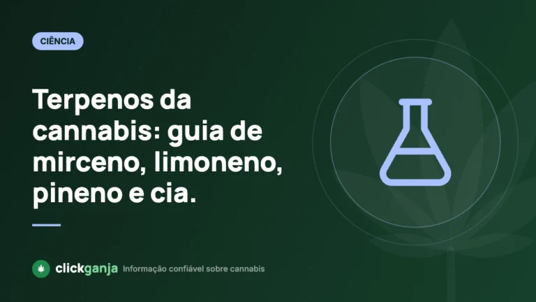 Terpenos da cannabis: guia de mirceno, limoneno, pineno e cia.