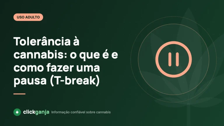 Tolerância à cannabis: o que é e como fazer uma pausa (T-break)